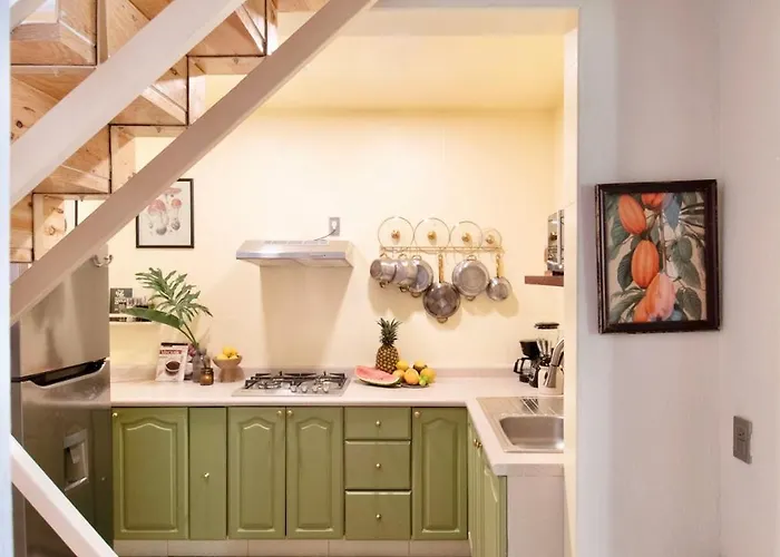 Casa Awen - Cozy House In North Rome Mexico City